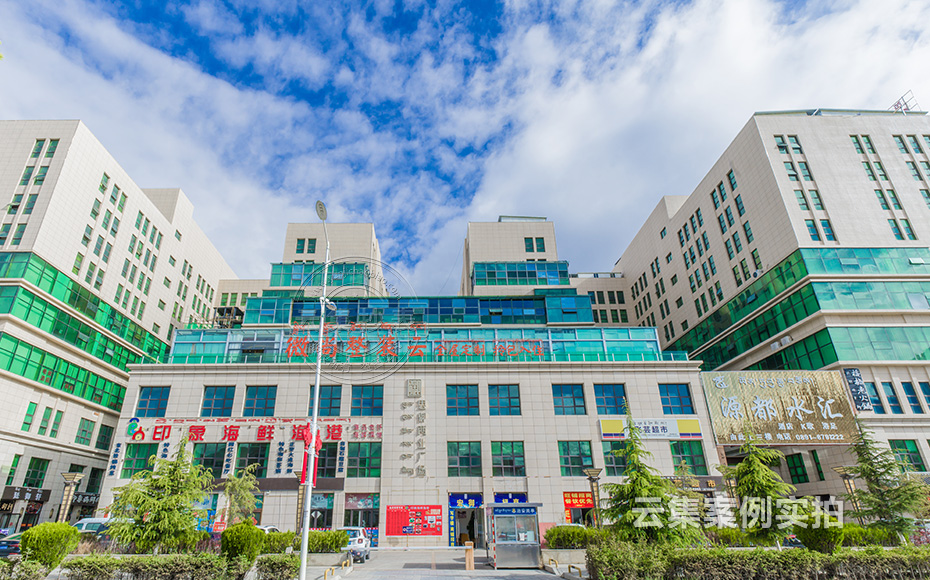 Î÷²ØË®µç¹ÜÀíϵͳ