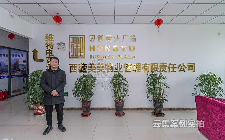 Î÷²ØË®µç¹ÜÀíϵͳ