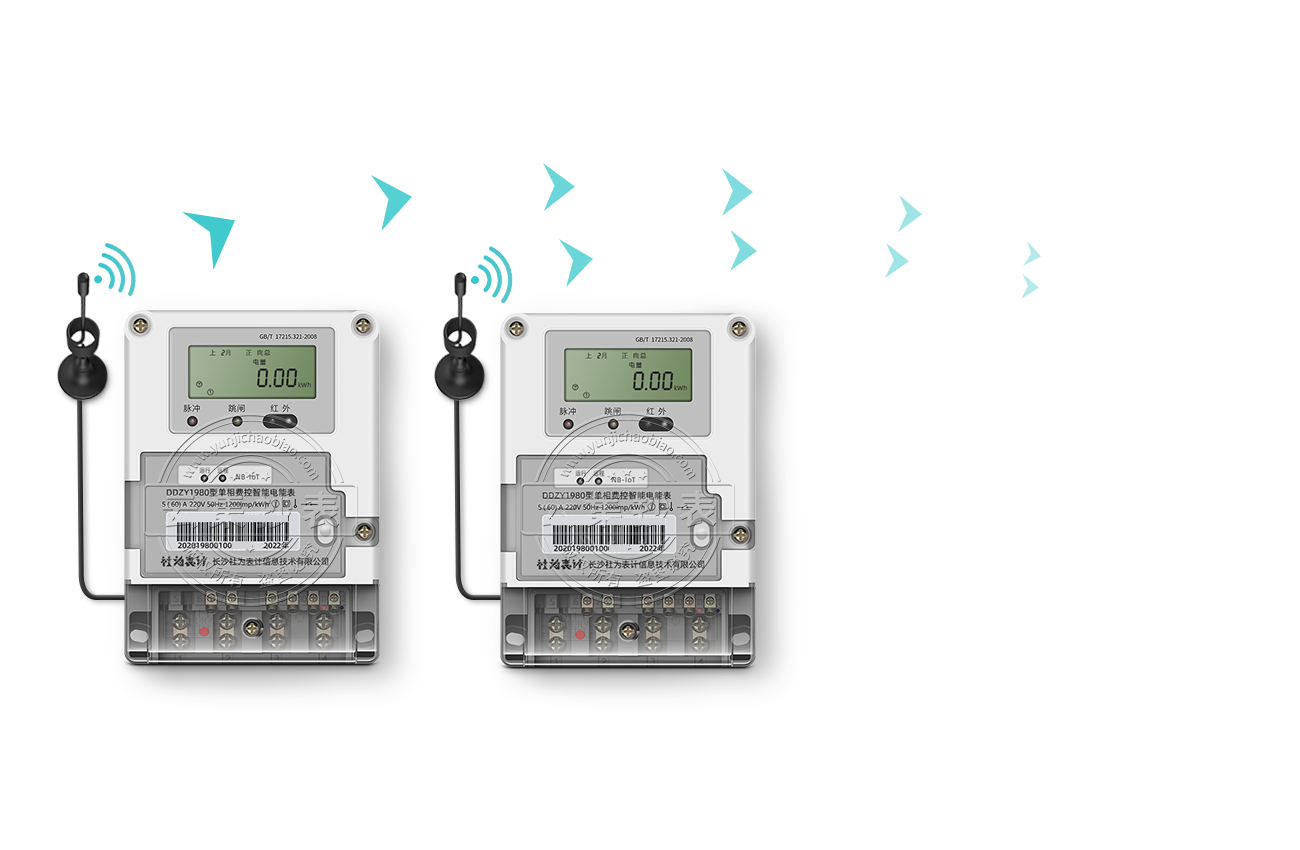 ��ʤ�������ܵ��