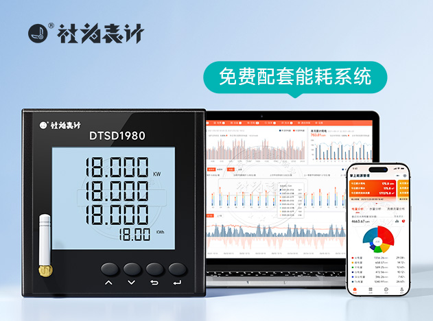 DTSD1980����4G�๦�ܵ����Ǳ�