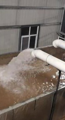 �ཬֽ������������